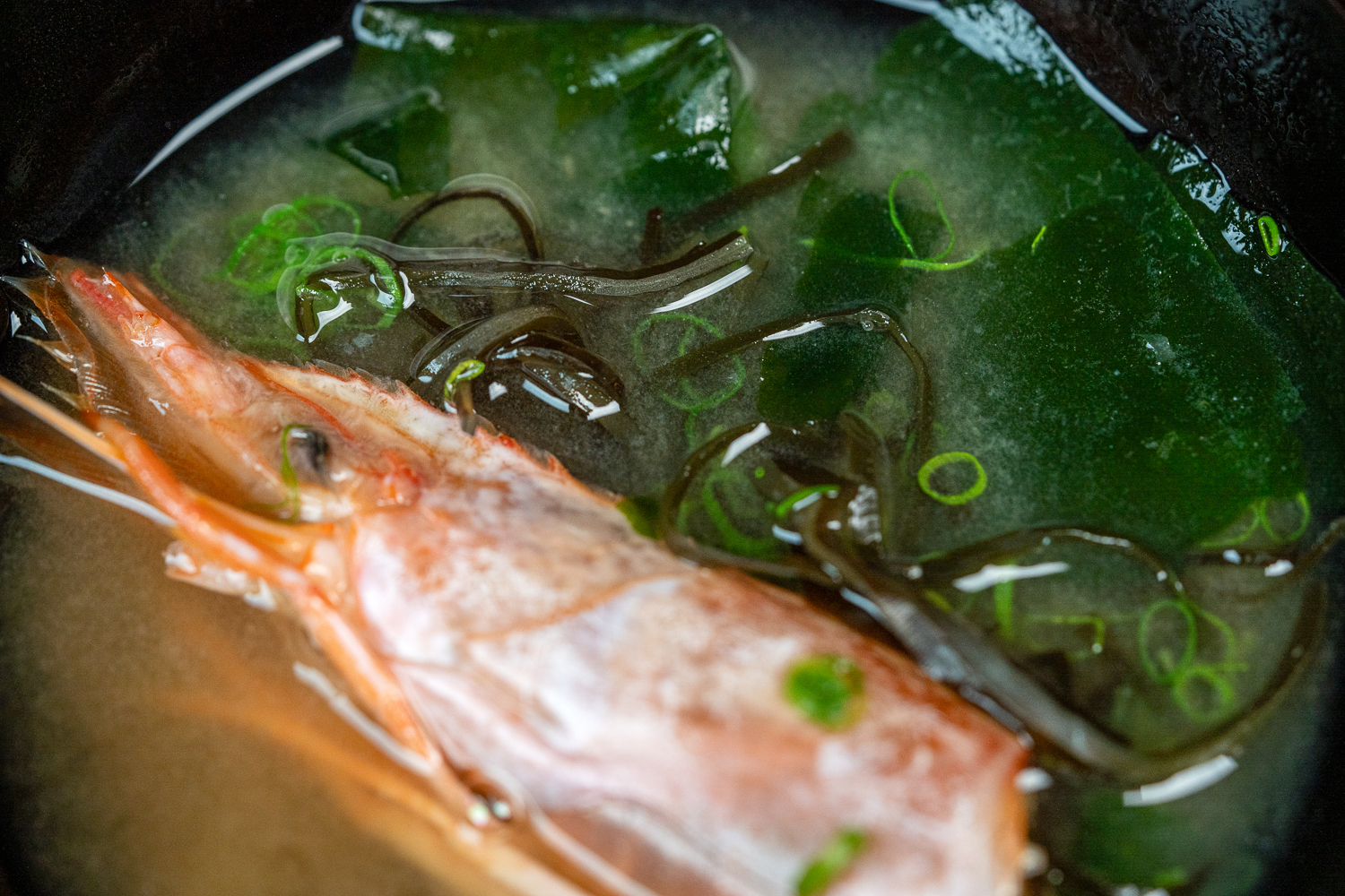 Shiki-Omakase-Japanese-Fine-Dining